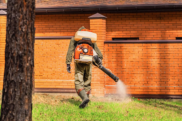 Bed Bug Clearance Verification and Documentation in Masontown